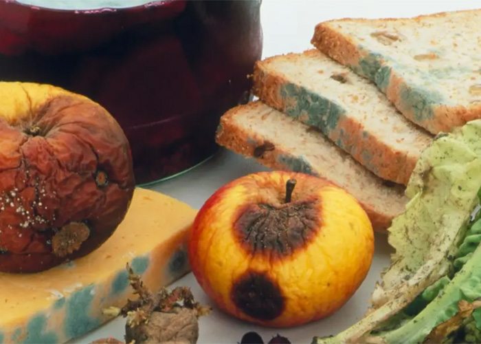 上海海關(guān)核桃報(bào)廢處理公司2022已更新(今日/資訊) 上海海關(guān)核桃報(bào)廢處理公司2022已更新(今日/資訊)