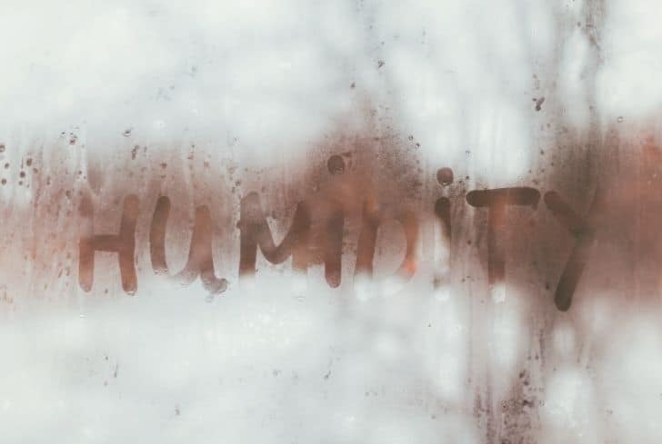 潮濕是如何造成空氣污染的? 潮濕是如何造成空氣污染的?